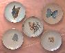 Butterflies, (5) 4 inch round plates
